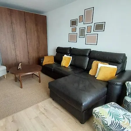 Condmari Vip Brasov
