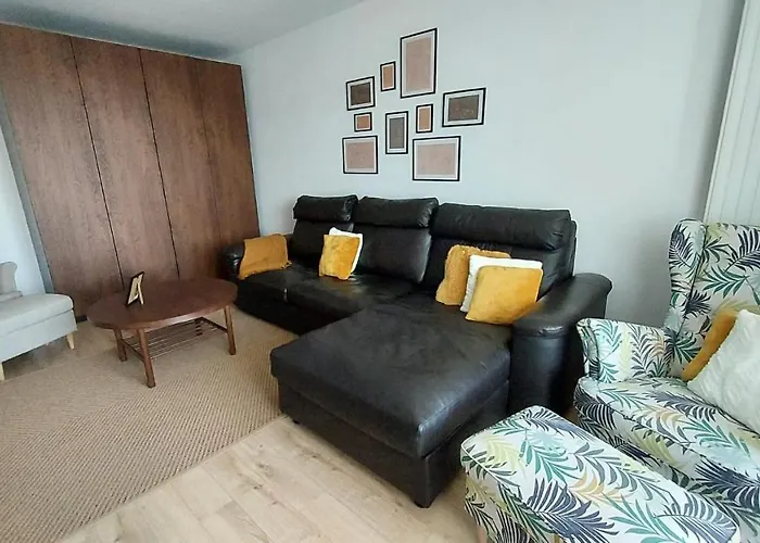 Condmari Vip Braşov